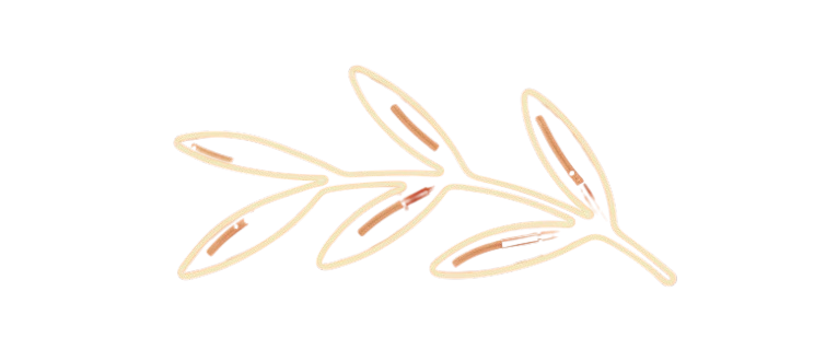 gemini generated image t9bhplt9bhplt9bh removebg preview